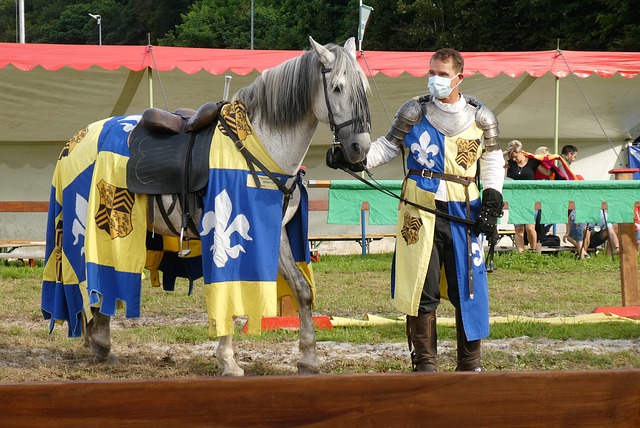 这位天才球 这位天才球