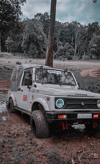 这位备受尊 这位备受尊