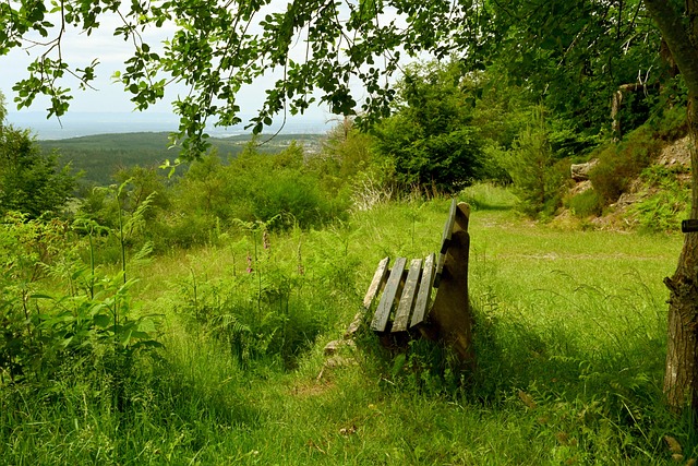 独行侠的复 独行侠的复